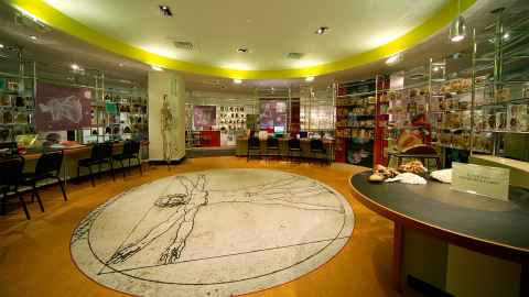 Auckland Medical Research Foundation (AMRF) Medical Sciences Learning Centre - Whakaaro Pai