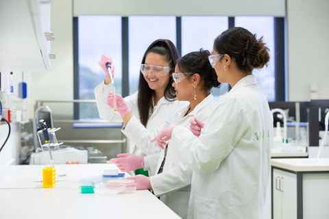 Students in a lab setting using equipment