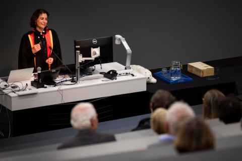Elizabeth Broadbent's inaugural lecture