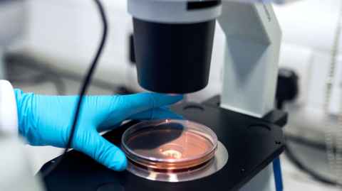 lab equipment