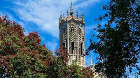 The ClockTower with flowering pohutukawa in the foreground