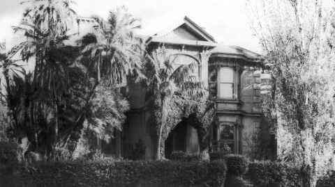 Historical photo of Auckland Law School