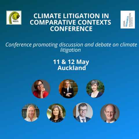 Climate Litigation in Comparative Contexts poster