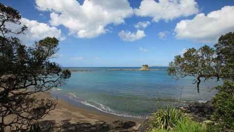 New Zealand beach landscape