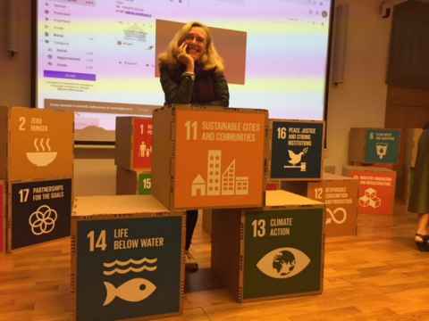 A woman surrounded by boxes with the UN SDG goals written on them.