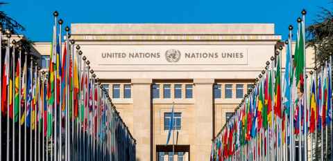 Alley of flags leading to the United Nations office in Geneva