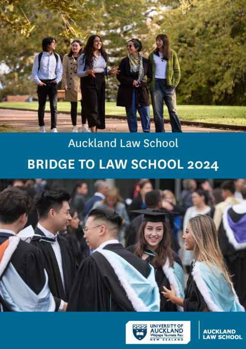 Bridge to Law School