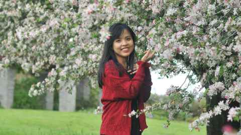 Hai Ly Bui