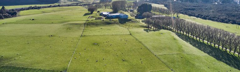 Aerial shot of Ngapouri Farm