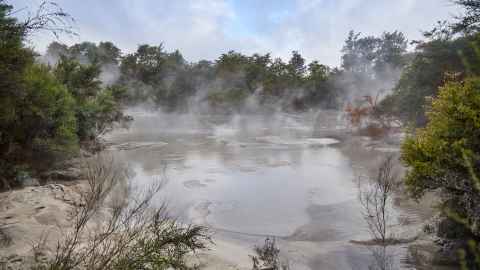 Ngapouri Research Farm geothermal area
