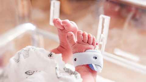 Feet of baby in NICU
