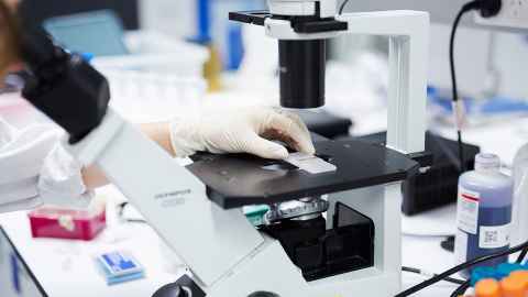 Scientists using a microscope in the Liggins Institute analytical lab