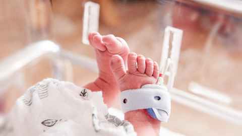 Feet of baby in NICU