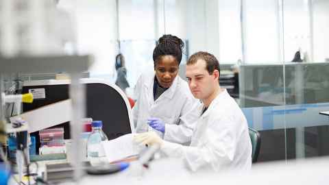 Researchers in the Liggins Institute lab
