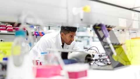 Researcher in the Liggins Institute lab
