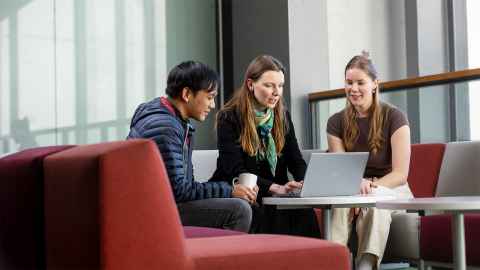 Liggins Institute postgraduate students collaborating