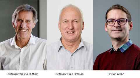 Professor Wayne Cutfield (left), Professor Paul Hofman (middle), and Dr Ben Albert (right)