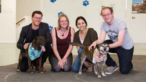 Dr Alex Taylor, doctoral students Rebecca Hassall, Amalia Bastos and Patrick Neilands, with two dogs, Kai and Keira