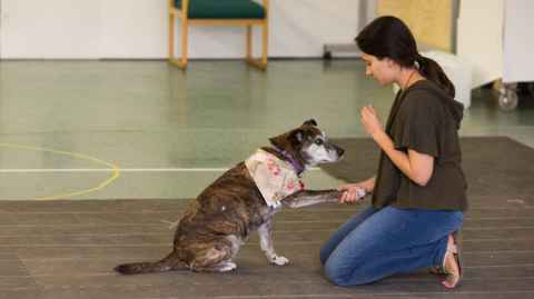 Amalia Bastos with a dog