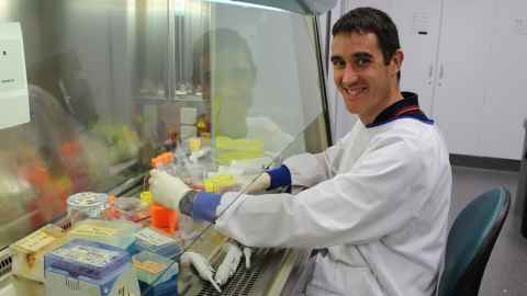 Dr David Musson