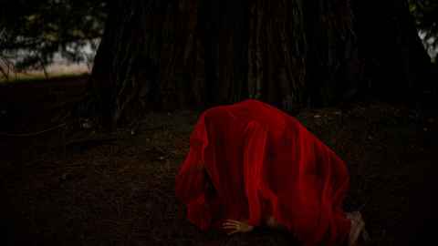 "The Rising" photograph by Hannah Davey