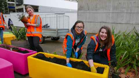 Mia Bigalk Shanks, Etienne Baring and Lucy Rossiter wearing orange high-vis vests and filling planters on Alfred Street.