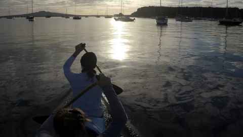 People paddling a canoe at sunrise on Auckland harbour with Rangitoto in the distance