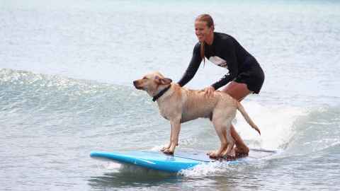 Liz Alder on a surfboard with a dog