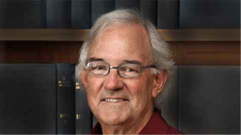 Professor David V Williams