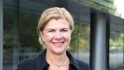 Professor Snejina Michailova
