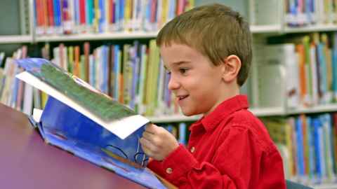 Young boy in library reading a book.