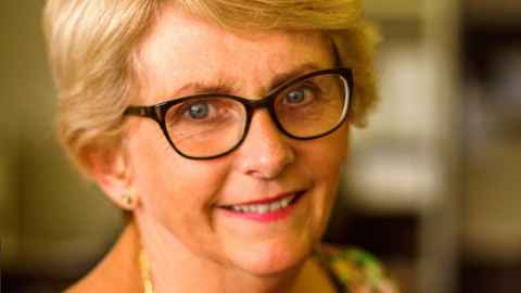 Professor Cindy Farquhar