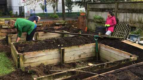 Three people working in a garden