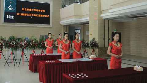 Ceremonial ushers at the launch of Aulin College
