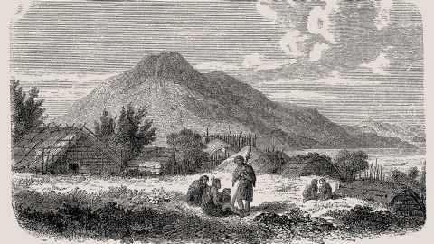 Black-and-white engraving of a 19th century Māori settlement