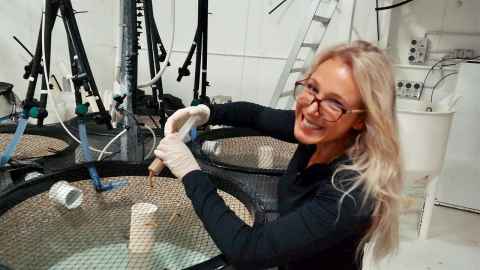 Veronica Rotman at NIWA's aquaculture research facility