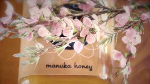 A stem of delicate flowers from a mānuka tree lies acroos a tub of New Zealand mānuka honey which has a long history of use in traditional Māori healing. Photo: iStock