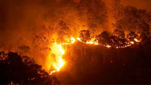 An image shows bush fire forcing it's destructive path across the Australian landscape. Photo: iStock