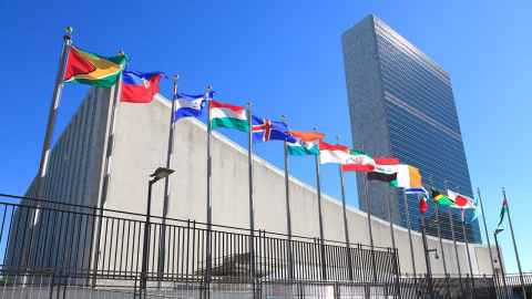 Flags flying outside the United Nations buildings in New York City.