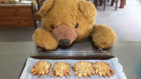 The toy bear next to a baking tray with biscuits in the shape of bear claws