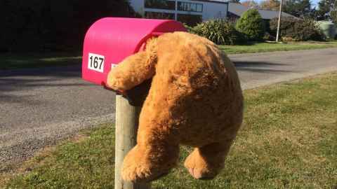 The toy bear with his head stuck in a pink letterbox