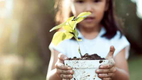 A child holding a small potplant