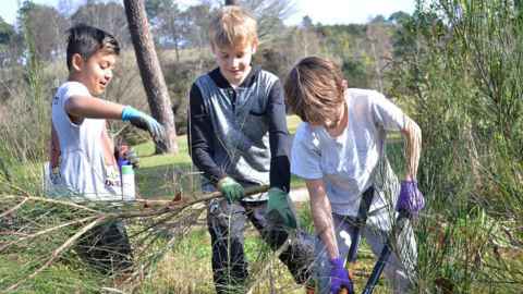 Three children wearing gardening gloves. One is using long-handled pruning shears and another is holding cut branches.