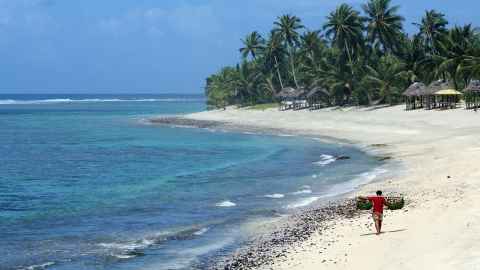 A person carrying two baskets over their shoulder while walking on a palm-tree lined beach