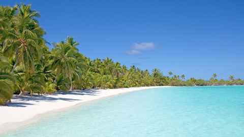 The image shows the crystal clear sea and palm fringed white sandy beach of Aitutaki in the Cook Islands, a popular draw for NZ visitors who bring economic benefits to small island economies that cannot be overstated. Photo: iStock