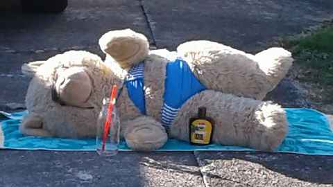 A teddy bear in a bikini.