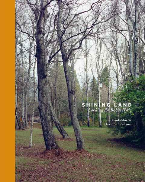 Shining Land book