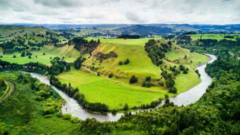The Whanganui River with fields, trees and hills on either side.