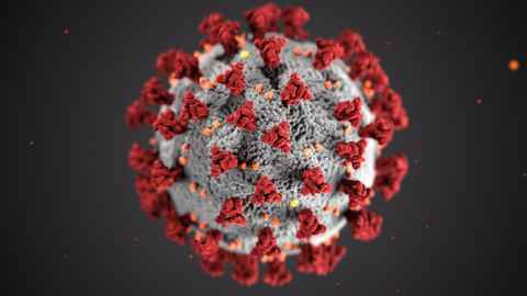 An enlarged virus microbe.