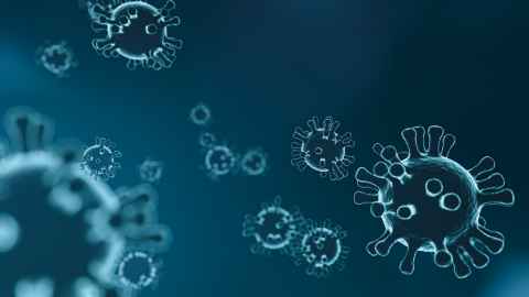 Enlarged microbes.